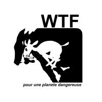 Wtf