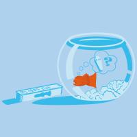 la peur de poisson
