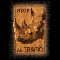 Rhino protection