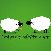 moutons