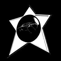 New STAR