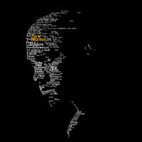 New  Slaves (Maj)