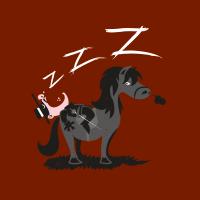 ZZZorro - v3