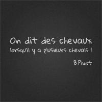 On dit des chevaux !