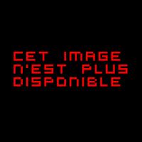 Sans titre