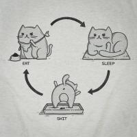Fucking Cat !