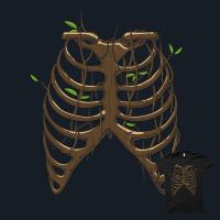 body tree 2