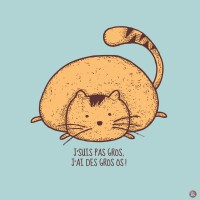 Not Fat