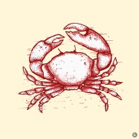 Crabe
