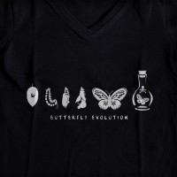 Butterfly evolution