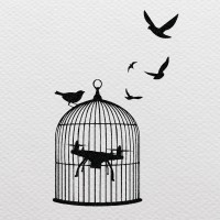 Drones d'oiseaux