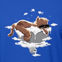 Chat plane pour moi