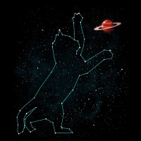 Space cat