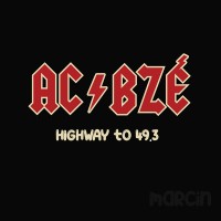 49.3