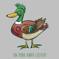 Punk anar colvert