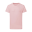 In Velo Veritas Rose Chalk