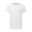 In Velo Veritas White