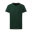 In Velo Veritas Bottle Green