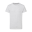 In Velo Veritas Ash Grey