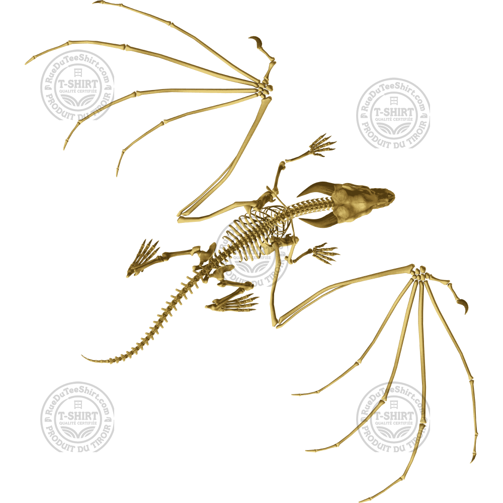 Dragon fossile