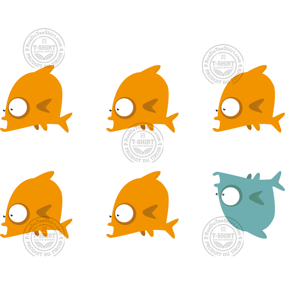 Mieux comprendre votre poisson bubulle