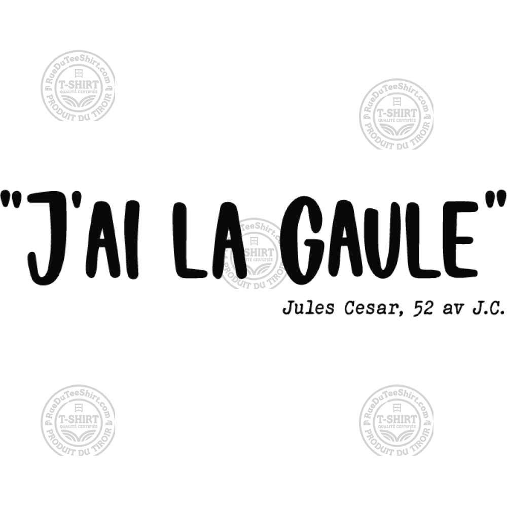 La Gaule!