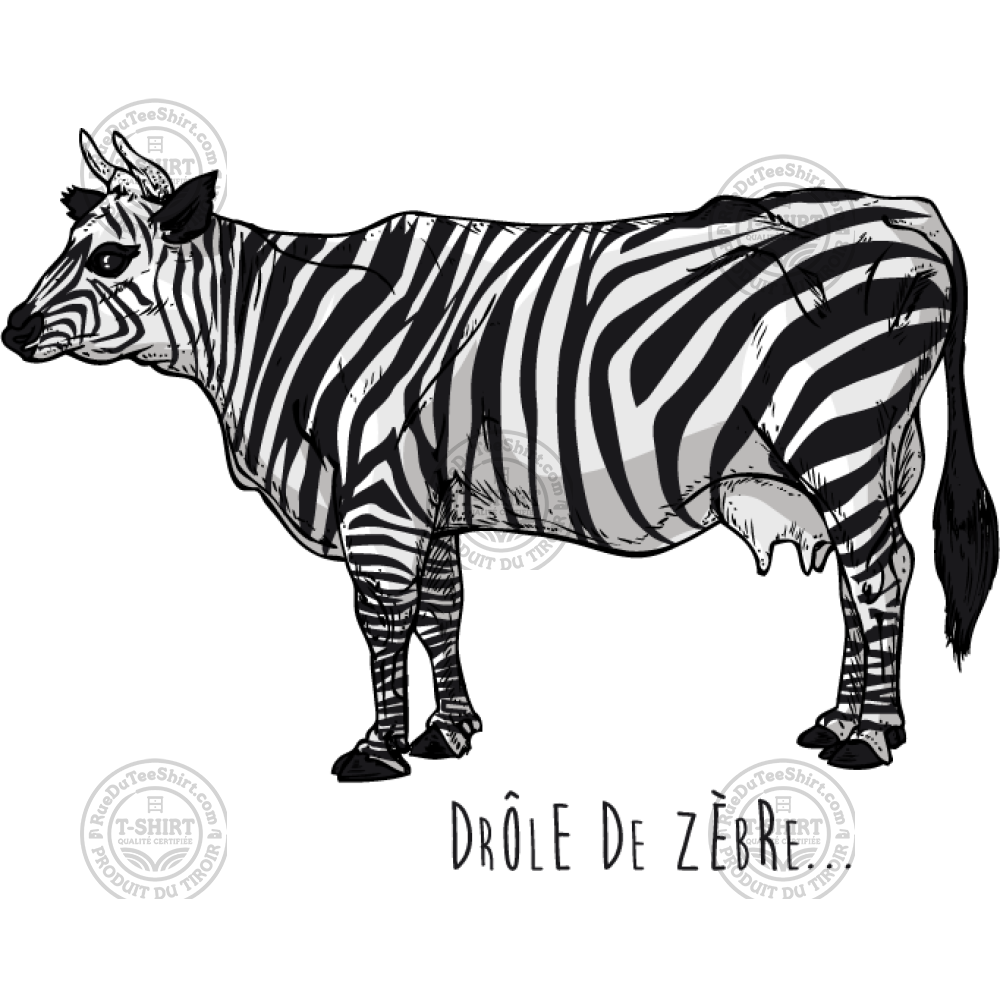 drole de zebre