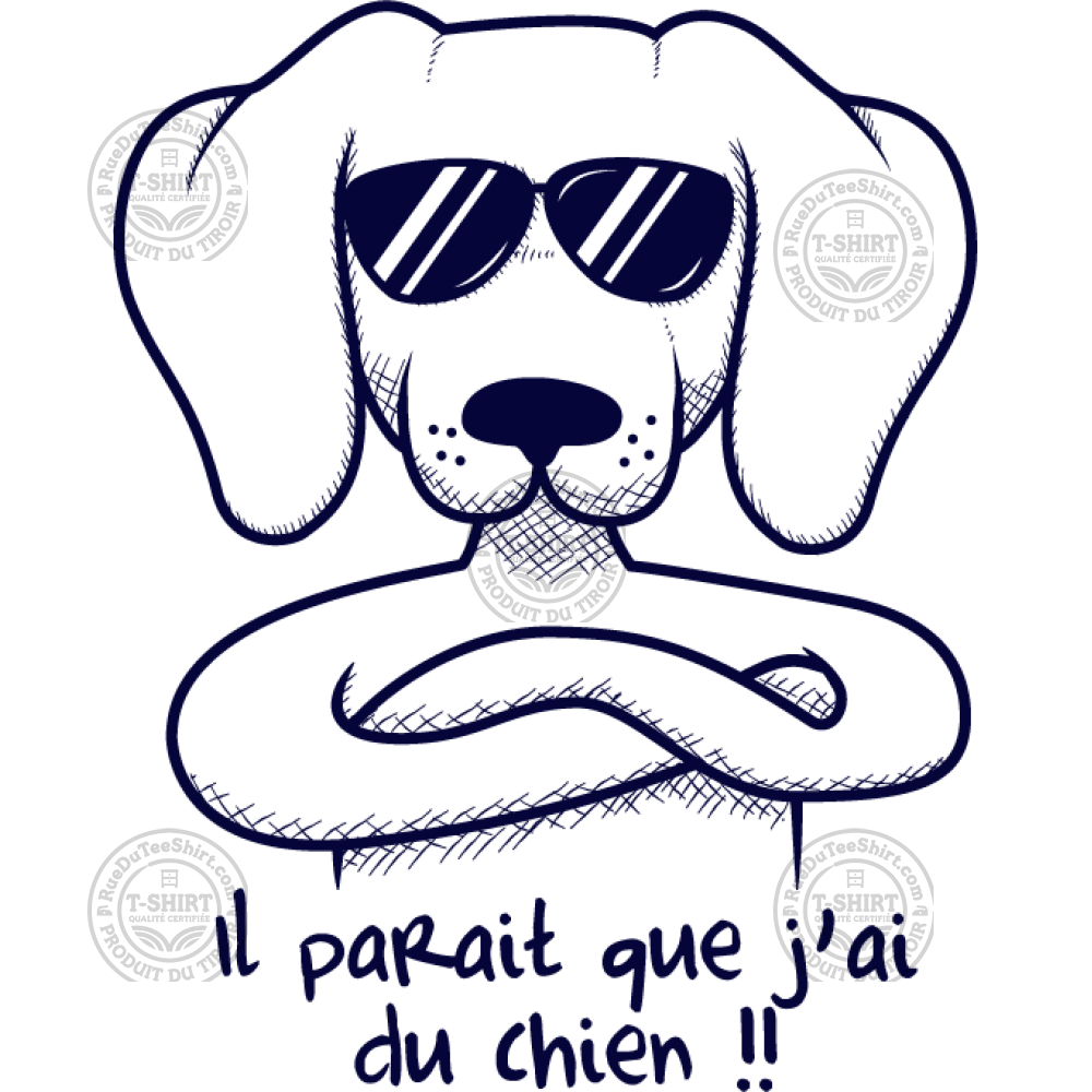 Avoir du chien