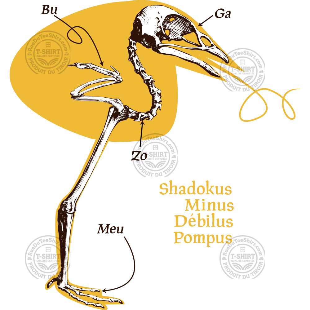 Shadokus